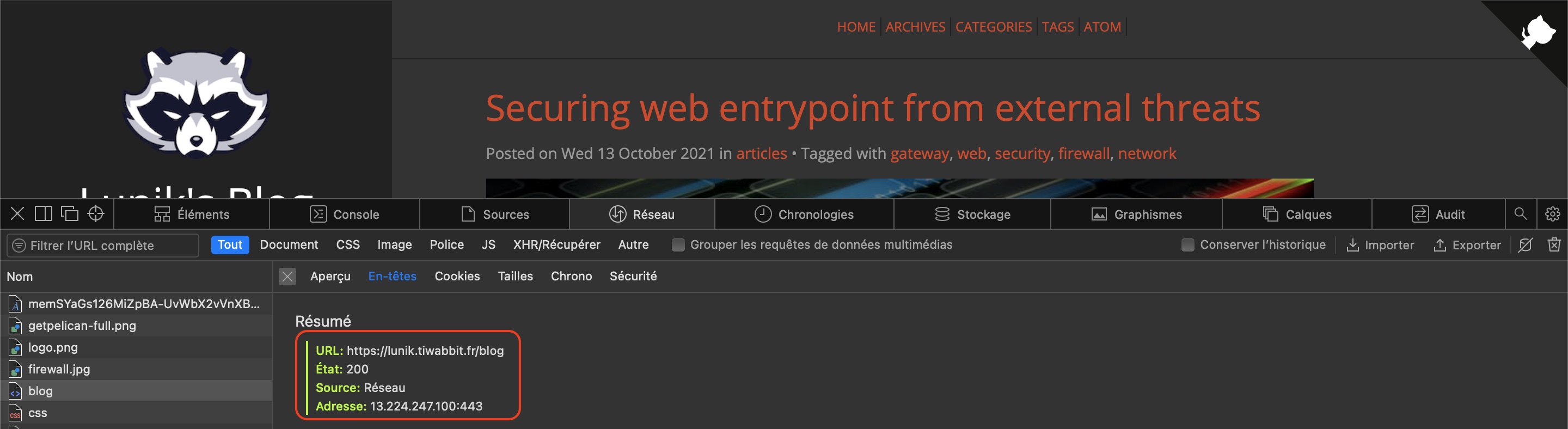 blog-dns-debug-through-developper-console