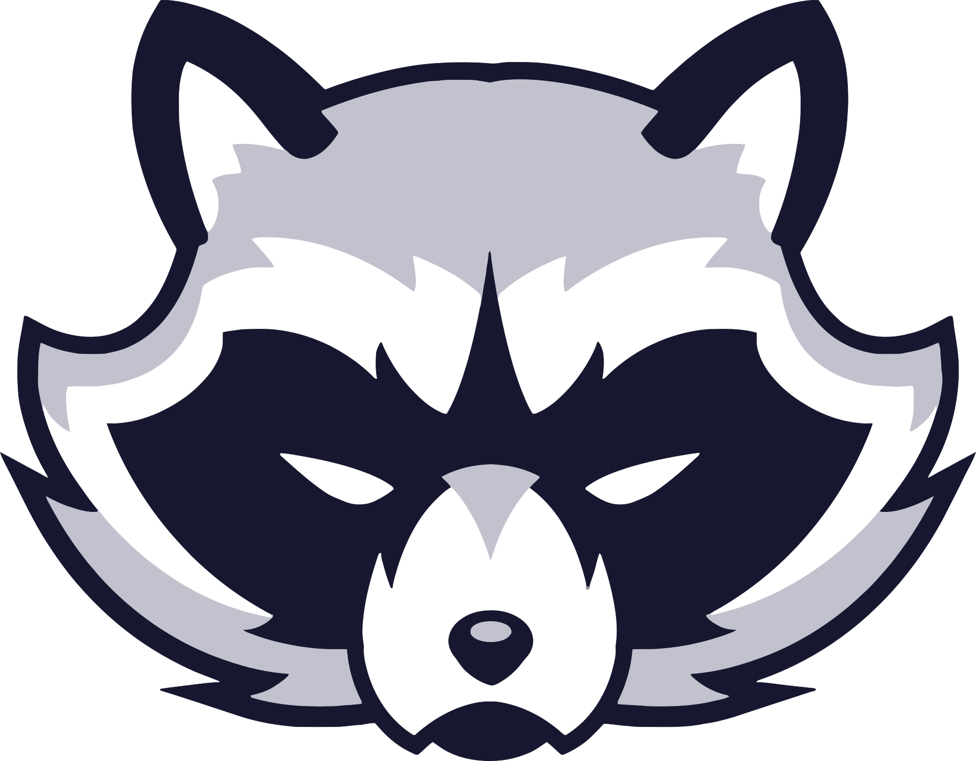 raccoon mascot